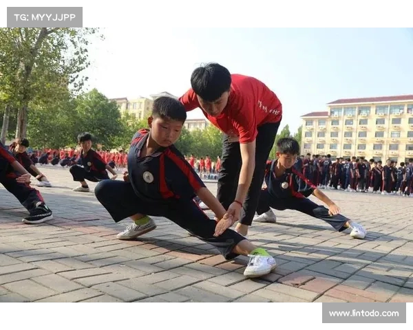 练习武术不仅强身健体还可提升心理素质与社交能力的多重好处