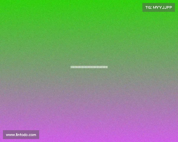 韩媒：韩国小将朴昇洙新赛季或留在纽卡一线队继续征战